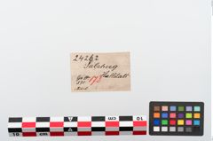 Etiketten zu Bronzecertosafibel (NHMW-PRAE-024262)